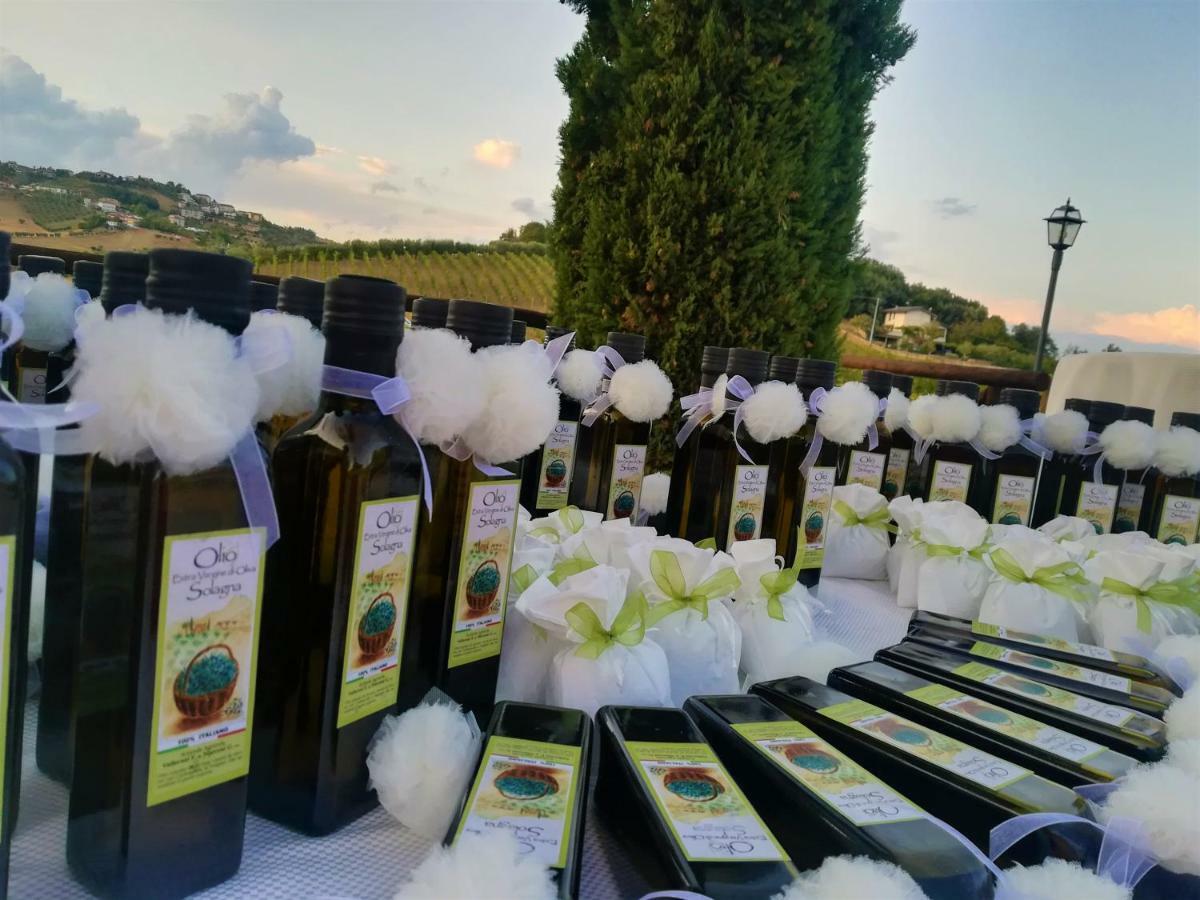 Agriturismo Alla Solagna Colli del Tronto Zewnętrze zdjęcie